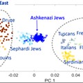 Capture Ashkenazi.PNG
